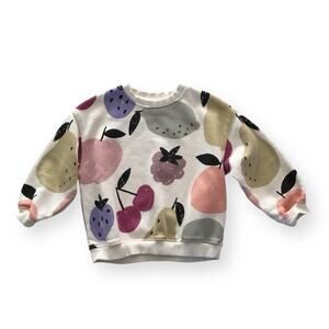 Zara fruit sweatshirt